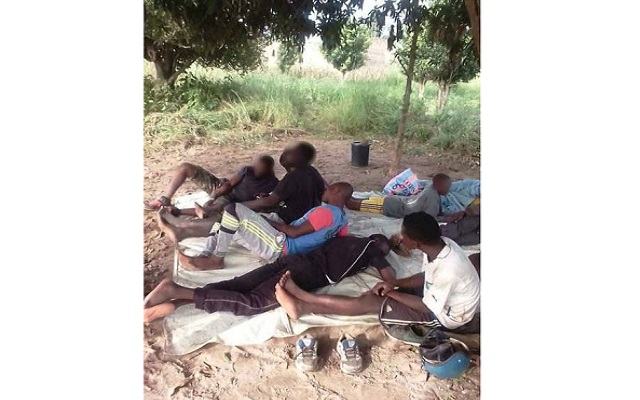 Sokodé, Bafilo et Mango : Les populations dans la brousse crient à l’aide