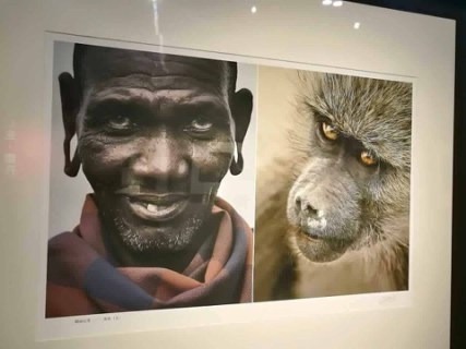 Un musée comparant les noirs aux animaux ouvre en Chine