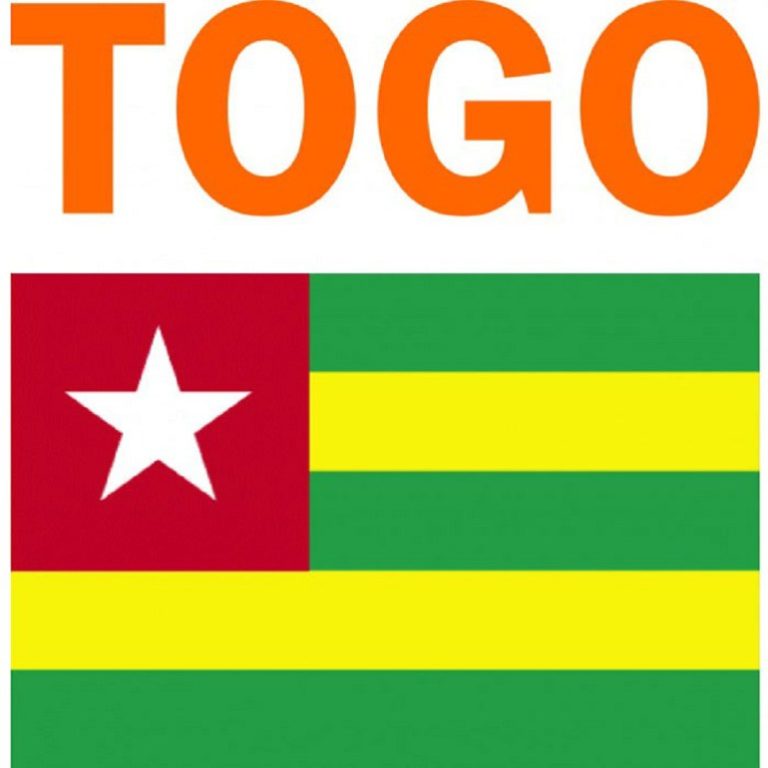 Togo/ Passer à la Vème république est vital pour le Togo , selon Adama Kpodar