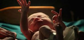 Déclaré mort, un nouveau-né miraculeux revient à la vie