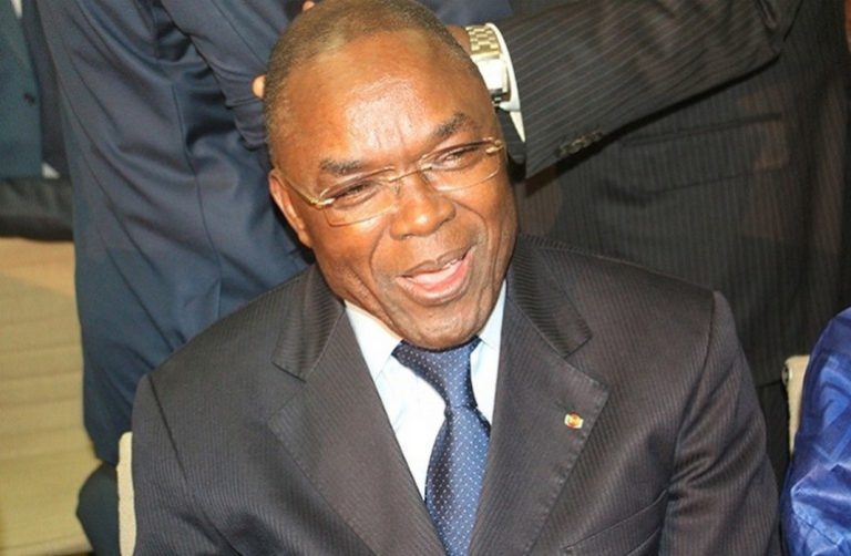 Le Togo en marche vers le référendum