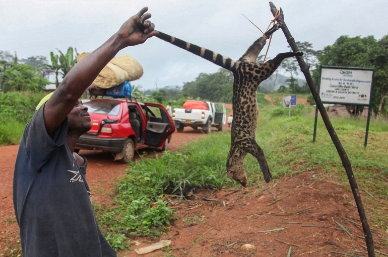 Risques d’Ebola: le gouvernement interdit la chasse coutumière et la petite chasse
