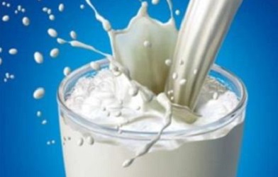 Lancement officiel d’un projet de production laitière par insémination artificielle