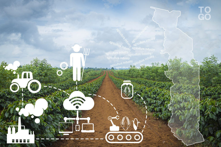 Changer le visage de l’agriculture togolaise