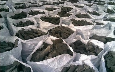 Le charbon de bois, principale cause de la désertification du parc de la Kéran