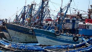 Le délicat renouvellement de l’accord de pêche Maroc-UE