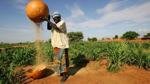 Le Niger anticipe la saison des pluies et débloque 200 milliards de francs