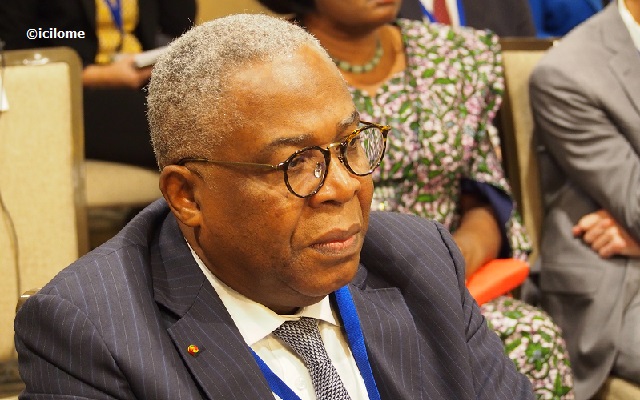 André Johnson : « Je convie chaque togolais à planter au moins un arbre »