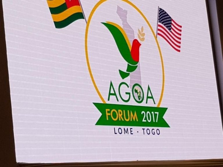 17ème Forum AGOA à Washington DC: la CCIT mobilise le secteur privé togolais