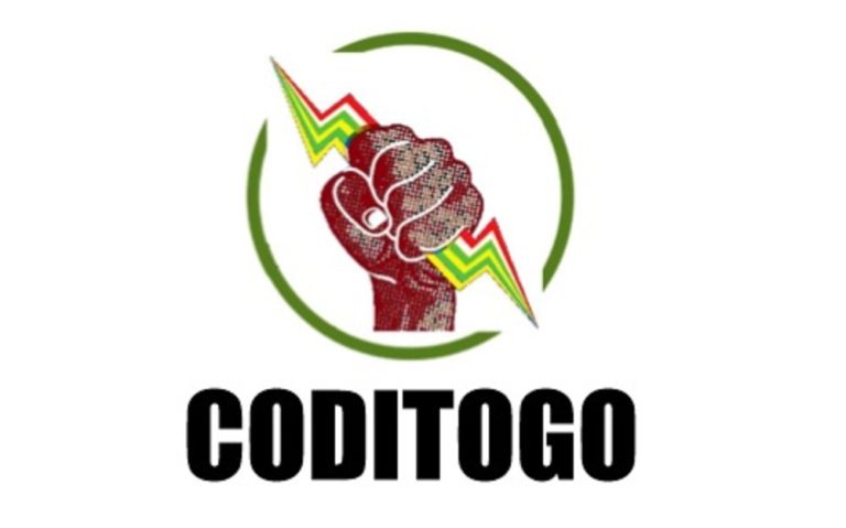 Feuille de route CEDEAO/ « Les recommandations ne sont pas à la hauteur des attentes », analyse CODITOGO