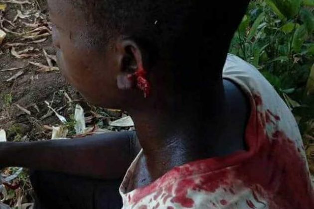 Togo, Début de Génocide à Bafilo, Mango et Tchaoudjo : Un an déjà!