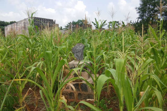Togo, Construction des fermes avicoles dans l’Avé :  Badja ou le néant, 4 ans après le passage de Faure Gnassingbé