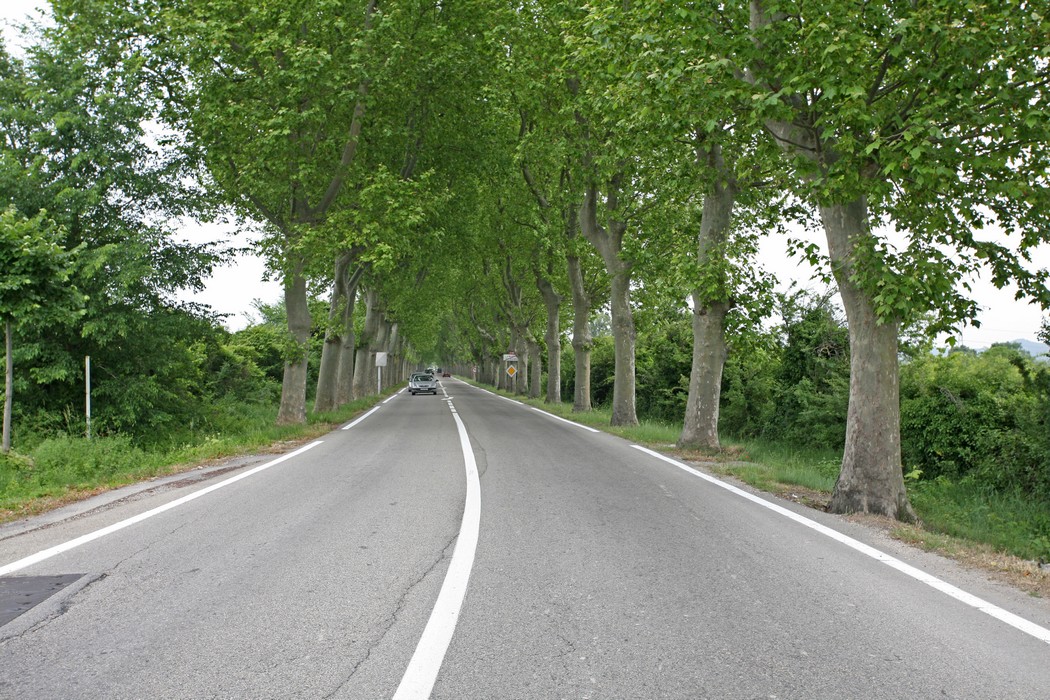 CERFER / Réparer les routes togolaises à l’aide de nouvelles techniques