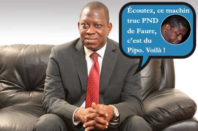Togo : Kako Nubukpo Dézingue le PND de Faure Gnassingbé !