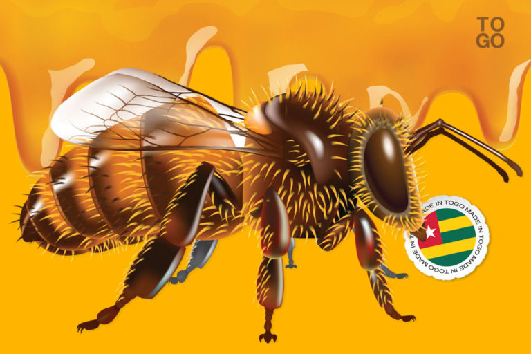 Les abeilles togolaises disent merci