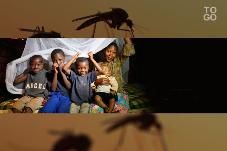 Arme ultime contre la paludisme
