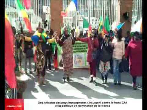 Des Africains des pays francophones ont manifesté contre le franc CFA en France
