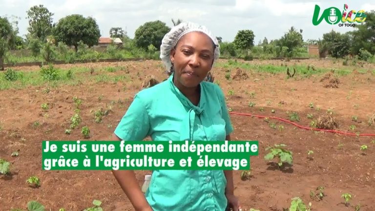 Cette Togolaise abandonne son boulot pour se lancer dans l’agriculture