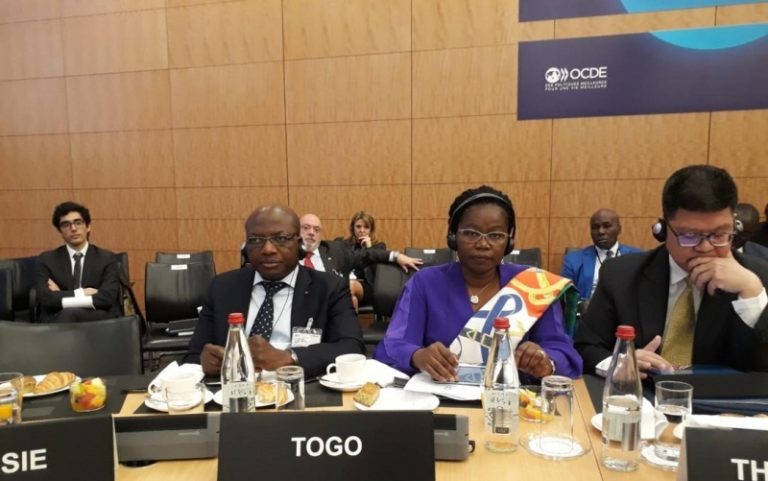 5e réunion du Comité directeur de l’OCDE : Le Togo prend part aux travaux