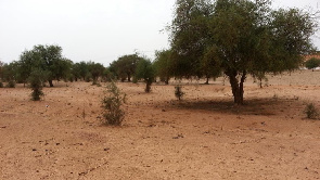 Niger: l’embuscade dans la région de Tillabéry revendiquée par l’EIGS