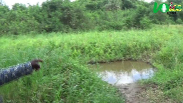 Regardez l’eau que boivent les Togolais à Afagnan