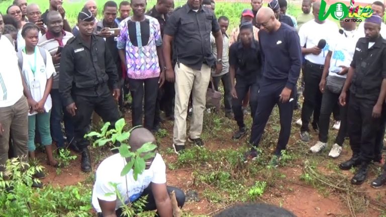 Les Journalistes Togolais plantent des arbres pour lutter contre les changements climatiques