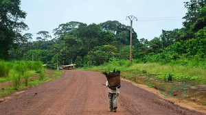 Gabon: en pleine chasse il confond son ami à un gibier et l’abat