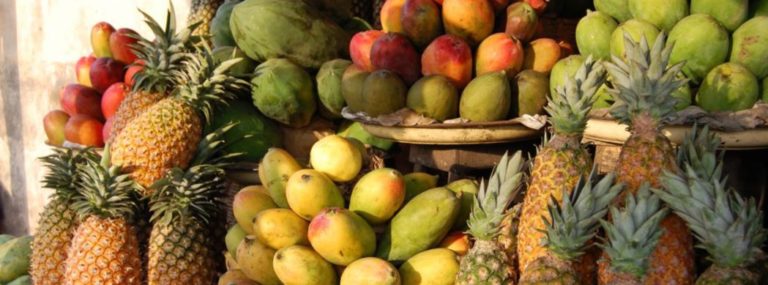 L’agriculture et la cuisine portent aussi le développement économique du Togo