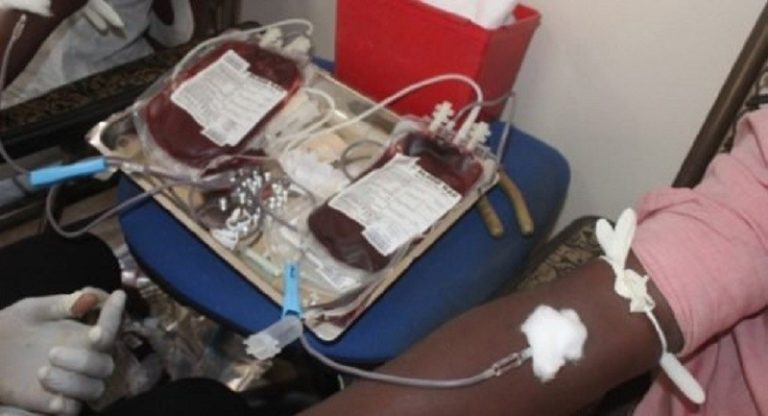 100.000 poches de sang pour le Togo, le nouveau défi des journalistes