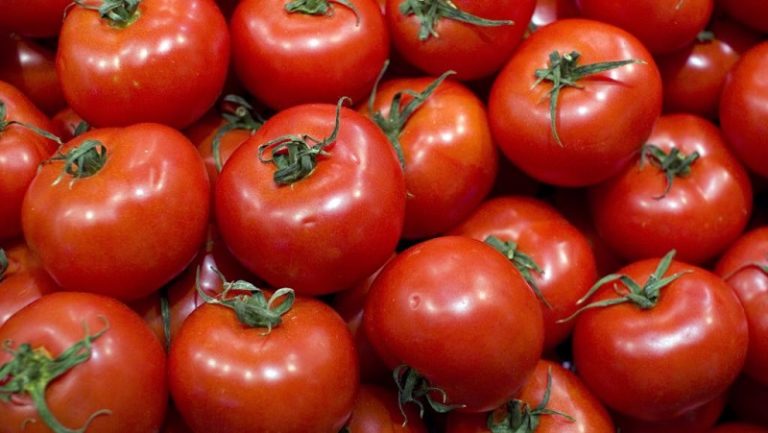 Togo : augmentation des prix de tomates