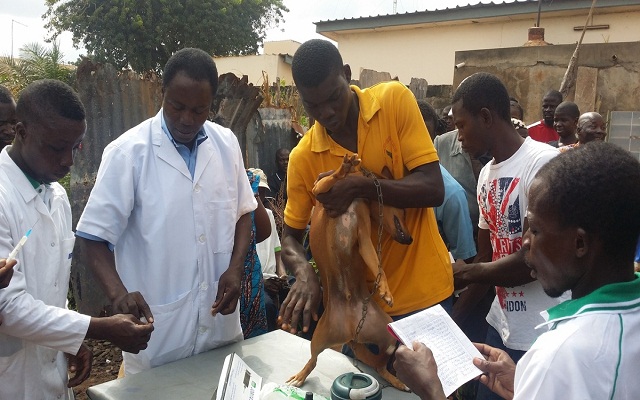 La qualité du médicament vétérinaire au cœur d’une rencontre à Lomé