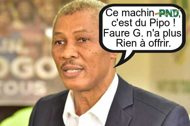 Togo, Nathaniel Olympio sur le PND :  « Faure Gnassingbé Ne Peut Faire de Miracle après 15 ans ! »