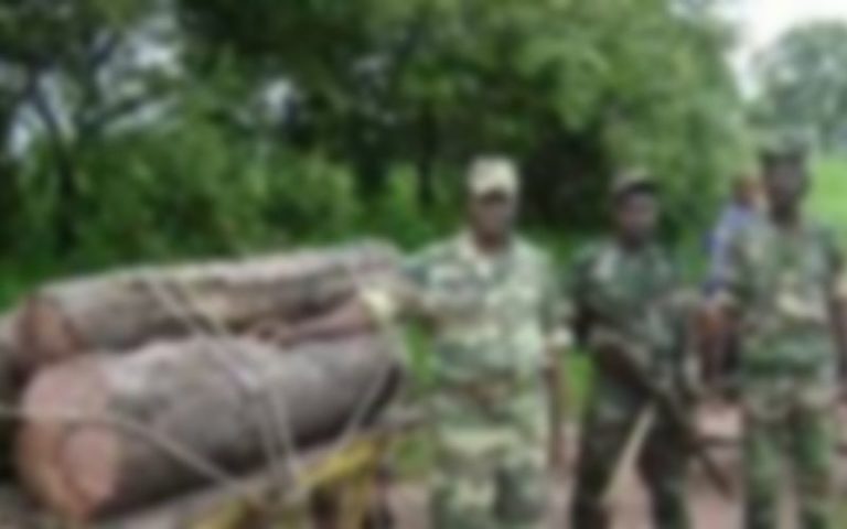 Togo : les gardes-forestiers remis en confiance après des bavures militaires
