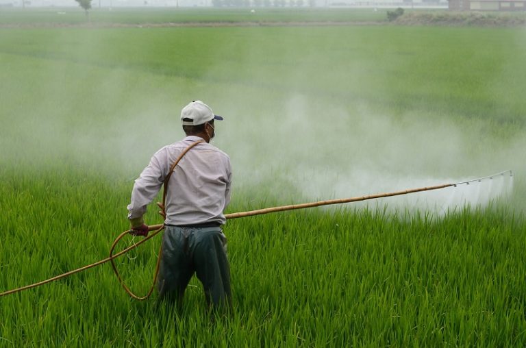 Togo/Agriculture : des experts penchent sur l’utilisation efficiente des pesticides dans l’espace CEDEAO-UEMOA