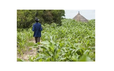 20 nouveaux forages en construction dans la zone de l’agropole de la Kara