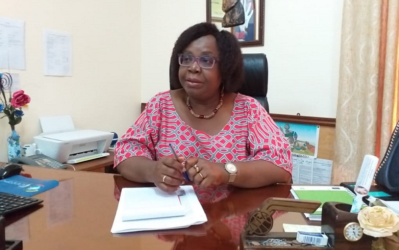 Mme Brigitte Adjamagbo-Johnson : « L’heure est à la mobilisation »
