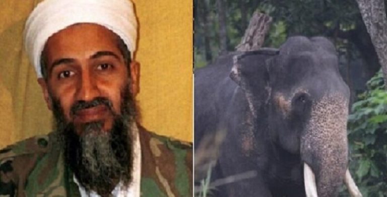 « Oussama Ben Laden » fait 5 morts en Inde