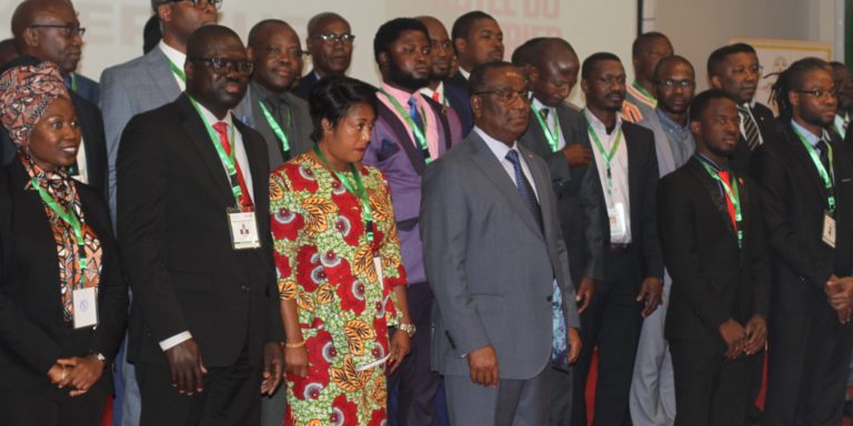 Togo : le Haut Conseil des Togolais de l’Extérieur (HCTE) officiellement installé ce vendredi