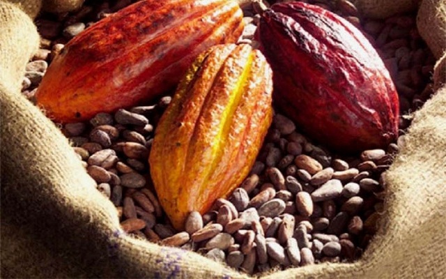 Vers la promotion des bonnes pratiques de commercialisation dans le secteur café-cacao