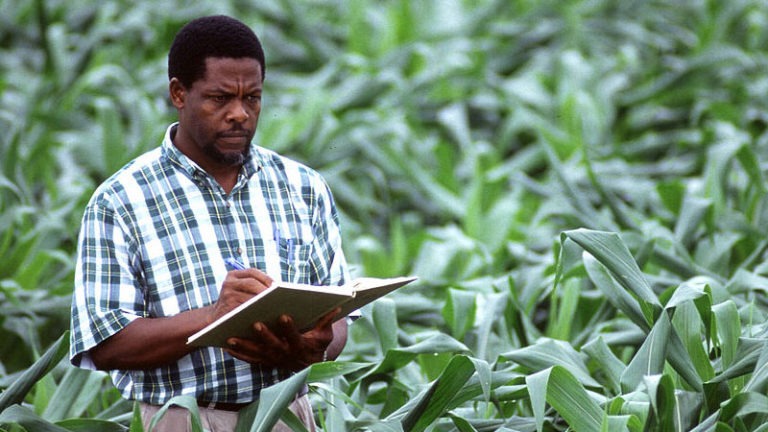 Le Togo procède à l’élaboration de la carte de fertilité de ses sols agricoles