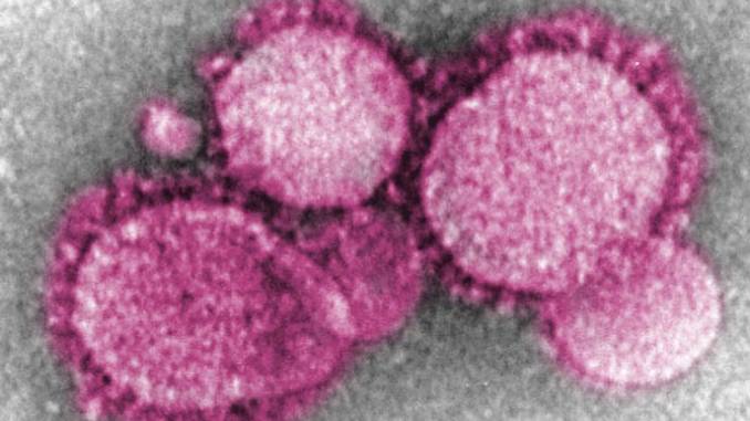 Coronavirus: les non-dits sur l’épidémie !
