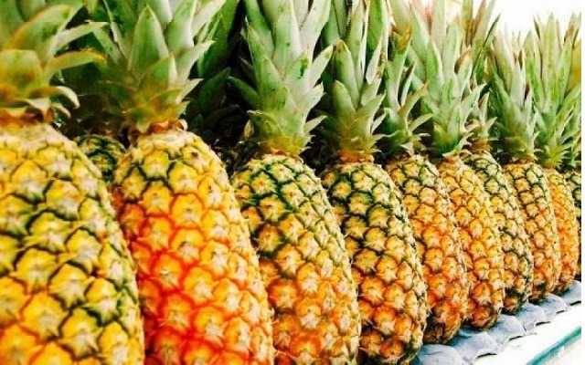 Togo – Remise de chèque : L’ananas togolais appuyé à hauteur de 30 millions F.CFA