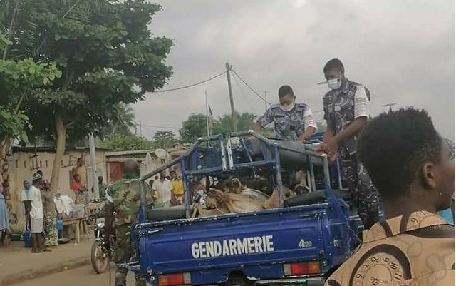 Togo – Gbossimé réclame ses moutons… « braisés »