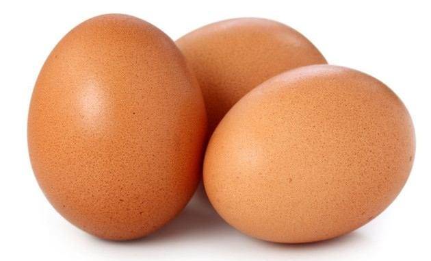 Togo: le prix des œufs vont baisser si…