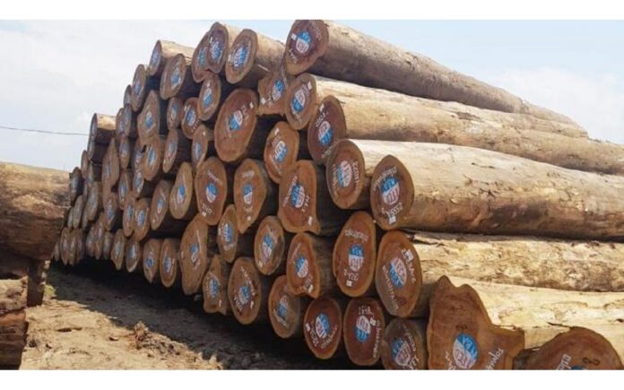 Togo–Exportation du bois brut et semi brut interdite