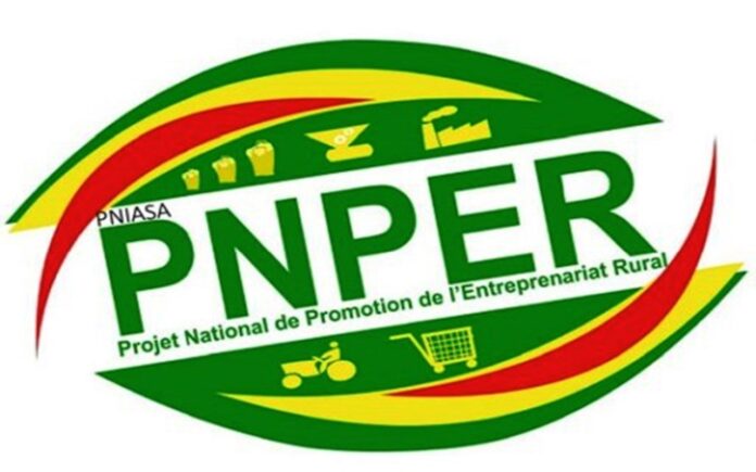 Togo-Fin du contrat du personnel du PNPER