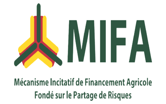 Togo-Le MIFA s’ouvre aux actionnaires privés