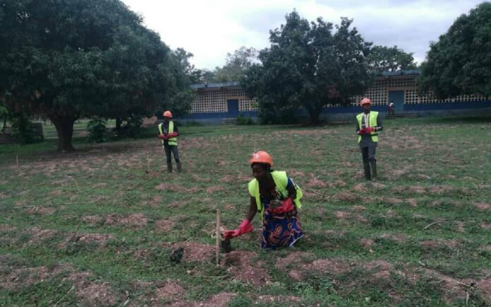 Togo-Journée de l’arbre/Bassar 4 : 200 plants mis en terre ce matin