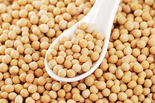 Togo becomes the world’s leading exporter of organic soybeans to the EU