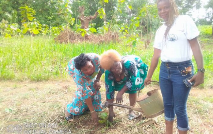 Togo-Journée nationale de l’arbre : Les femmes de l’association RFUD-Avé ont respecté la tradition